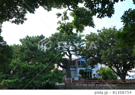 川 河 川辺 81306754