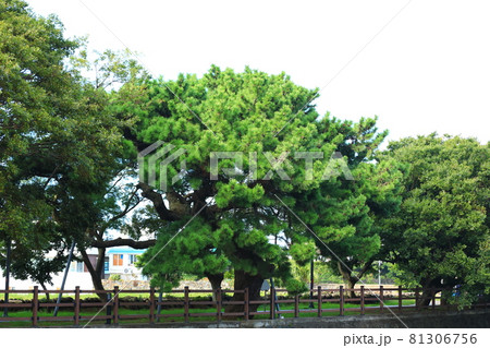 川 河 川辺 81306756