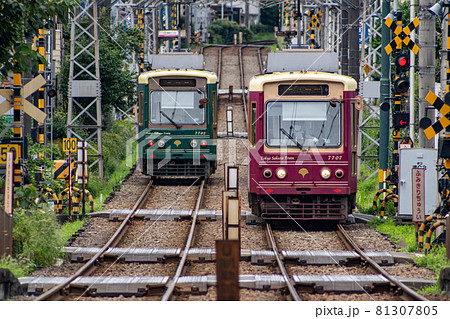 東京都 都電荒川線 飛鳥山停留所の近くですれ違う路面電車 81307805