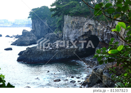滝 海岸 海 81307823