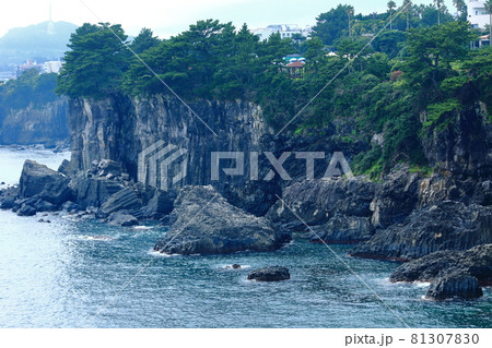 滝 海岸 海 81307830