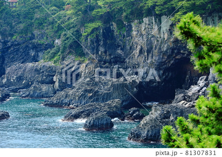 滝 海岸 海 81307831