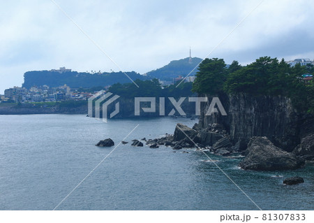 海岸 風景 海 81307833