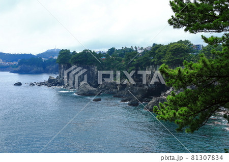 海岸 風景 海 81307834