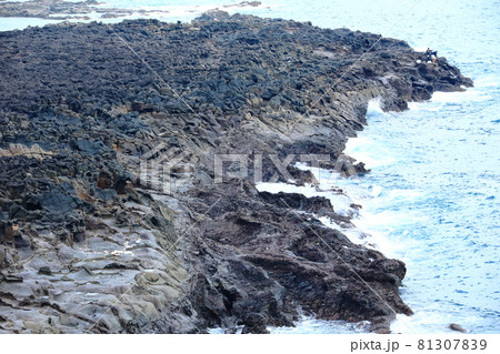海岸 洞窟 海 81307839