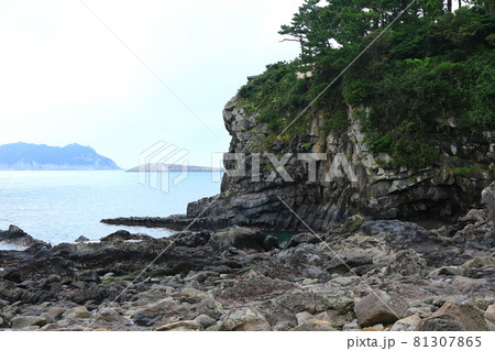 滝 海岸 海 81307865