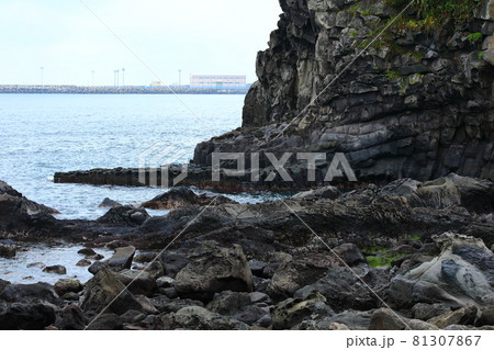 滝 海岸 海 81307867