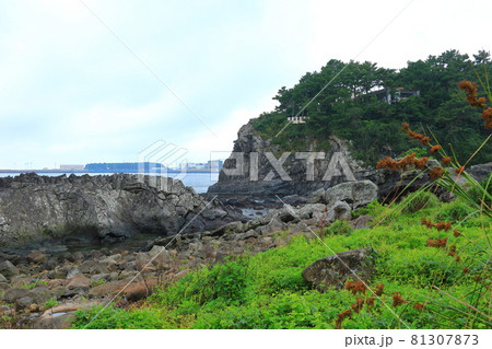 海岸 風景 海 81307873