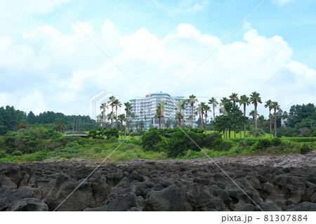 滝 海岸 風景 81307884