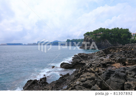 海岸 風景 海 81307892