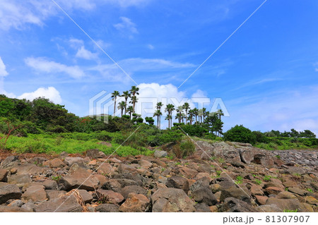 海岸 風景 海 81307907