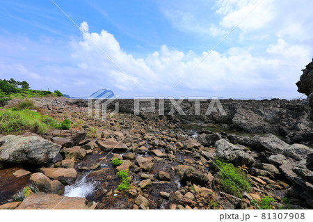 海岸 崖 海 81307908