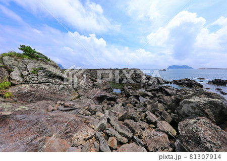 海岸 崖 海 81307914