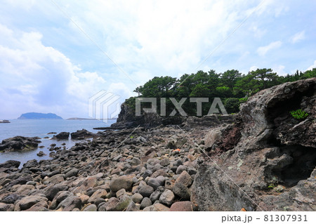 滝 海岸 海 81307931