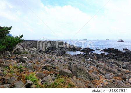 海岸 風景 海 81307934