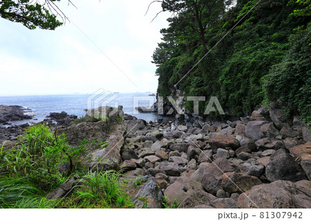 滝 海岸 海 81307942