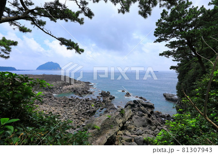 海岸 風景 海 81307943