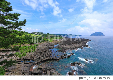 海岸 風景 海 81307949