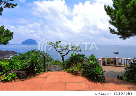 海岸 風景 花 81307963
