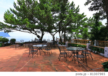 洞窟 公園 木 81307965