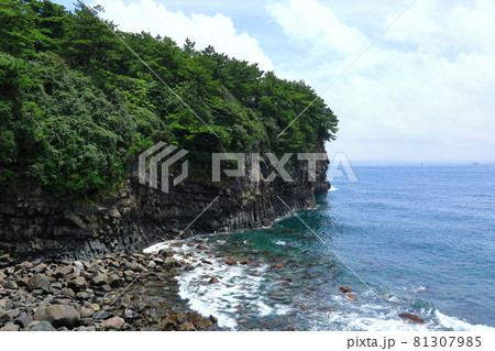 海岸 風景 海 81307985