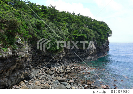海岸 風景 海 81307986