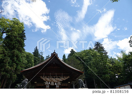 諏訪大社（下社）には本殿がありません。代わりに春宮ではスギの古木を、ご神木としています。 81308156