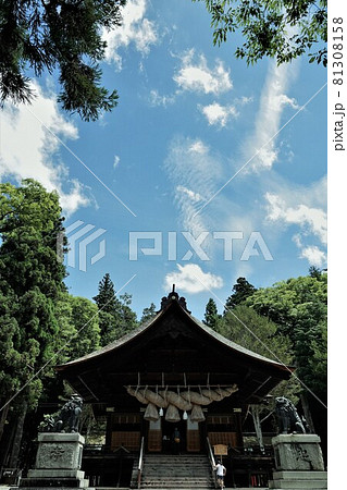 諏訪大社（下社）には本殿がありません。代わりに春宮ではスギの古木を、ご神木としています。 81308158