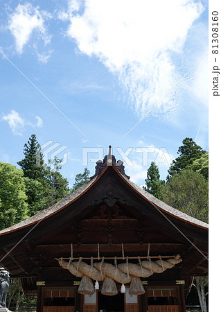 諏訪大社（下社）には本殿がありません。代わりに春宮ではスギの古木を、ご神木としています。 81308160