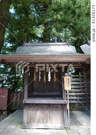 諏訪大社（下社）には本殿がありません。代わりに春宮ではスギの古木を、ご神木としています。 81308173