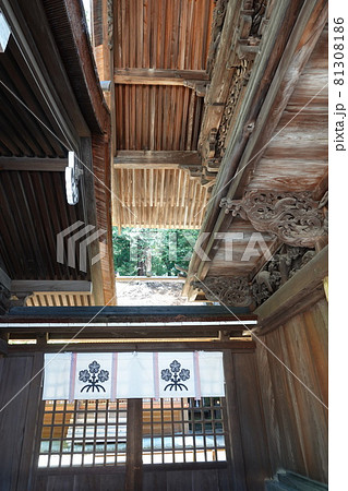 諏訪大社（下社）には本殿がありません。代わりに春宮ではスギの古木を、ご神木としています。 81308186