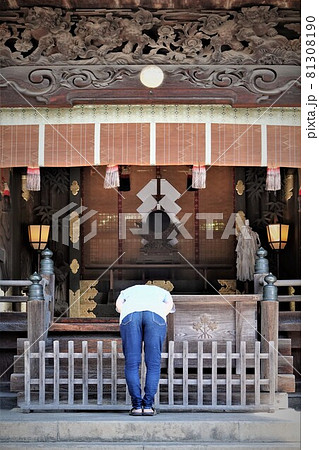 諏訪大社（下社）には本殿がありません。代わりに春宮ではスギの古木を、ご神木としています。 81308190