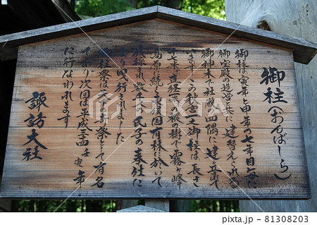 諏訪大社（下社）には本殿がありません。代わりに春宮ではスギの古木を、ご神木としています。 81308203