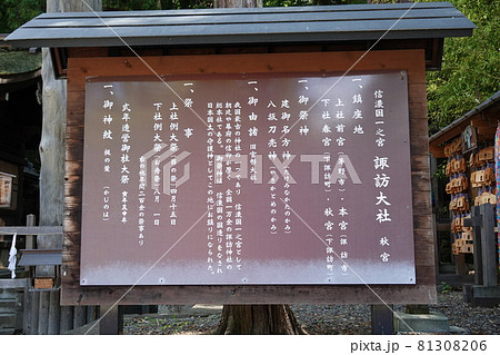 諏訪大社（下社）には本殿がありません。代わりに春宮ではスギの古木を、ご神木としています。 81308206