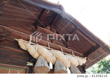 諏訪大社（下社）には本殿がありません。代わりに春宮ではスギの古木を、ご神木としています。 81308218