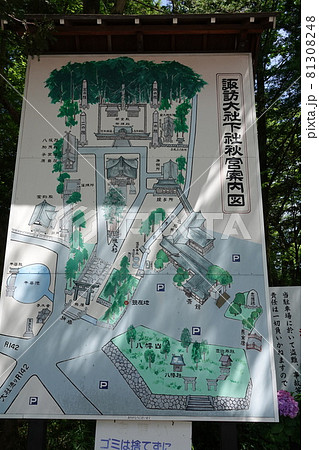 諏訪大社（下社）には本殿がありません。代わりに春宮ではスギの古木を、ご神木としています。 81308248