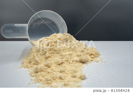 Whey protein powder and scoop. Supplements for bodybuilders, sportmans and healthy eating. 81308428