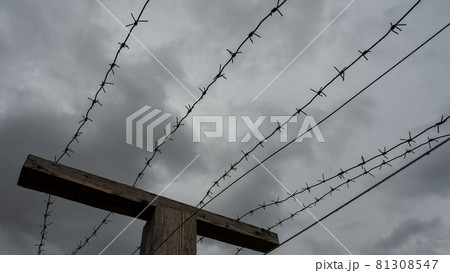 Close-up of barbed wire on gray clouds background. Close-up of barbed wire on gray clouds background. 81308547