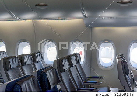 航空機の機内　フライングホヌの座席 81309145
