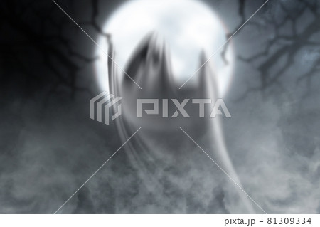 White ghost haunting with a night scene background White ghost haunting with a night scene background 81309334