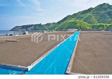 【輪島塩の塩田】 石川県輪島市渋田町 【輪島塩の塩田】 石川県輪島市渋田町 81309506