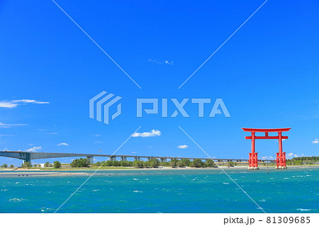 【静岡県】晴天下の弁天島海浜公園 81309685