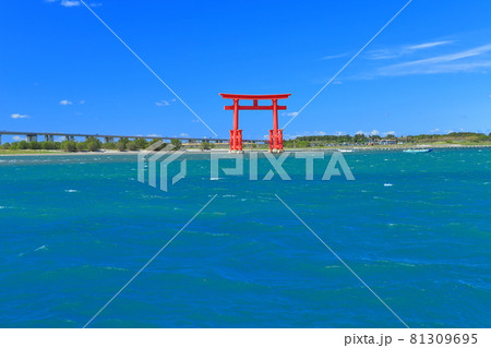 【静岡県】晴天下の弁天島海浜公園 81309695