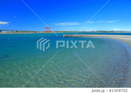 【静岡県】晴天下の弁天島海浜公園 81309702