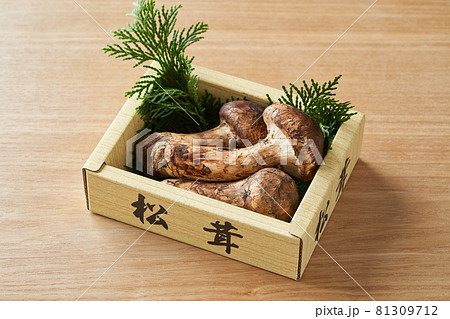 箱入りの松茸 81309712