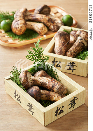 箱入りの松茸の写真素材 [81309715] - PIXTA