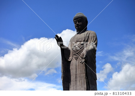 牛久大仏 牛久大仏 81310433