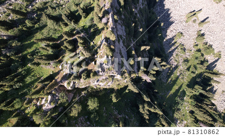 A high rock in middle of the forest in mountains A high rock in middle of the forest in mountains 81310862