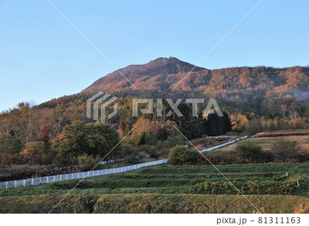 有珠山・昭和新山 有珠山・昭和新山 81311163