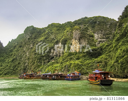 ベトナム ハロン湾 ダウゴー島 / Dau Go Island, Ha Long Bay, VN ベトナム ハロン湾 ダウゴー島 / Dau Go Island, Ha Long Bay, VN 81311866